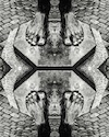 symmetric feet