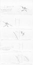 Cartoon: scribble 027 (small) by extgart tagged cartoon,scribble,humor,extgart