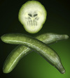 Cartoon: Mors cucumis (small) by Summa summa tagged danse,macabre,ehec