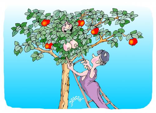 Cartoon: cosecha (medium) by Dragan tagged cosecha