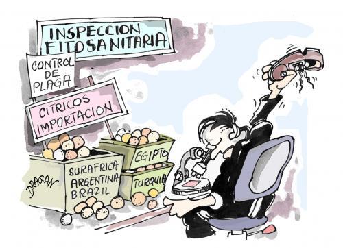 Cartoon: inspeccion (medium) by Dragan tagged inspeccion