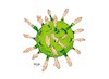 Cartoon: virus-Vox positivo (small) by Dragan tagged madrid,elecciones,vox