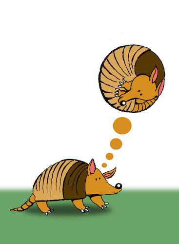 Cartoon: Armadillo... (medium) by berk-olgun tagged armadillo