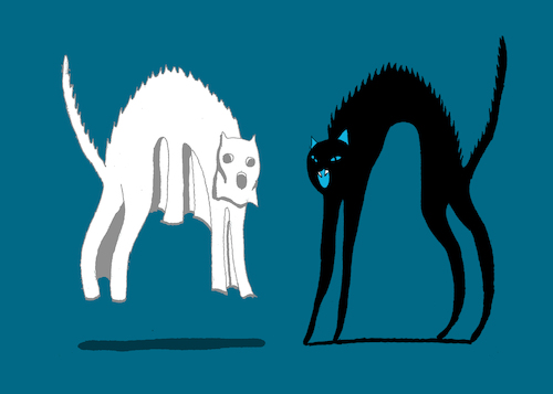 Cartoon: Black Cat vs Ghost Cat... (medium) by berk-olgun tagged black,cat,vs,ghost