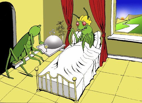 Cartoon: Breakfast in Bed... (medium) by berk-olgun tagged breakfast,in,bed