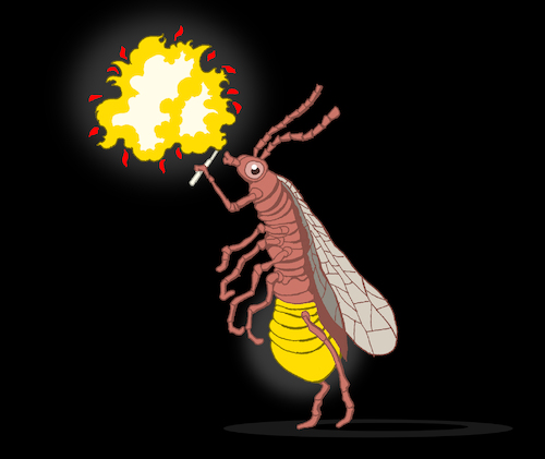 Cartoon: Firefly... (medium) by berk-olgun tagged firefly