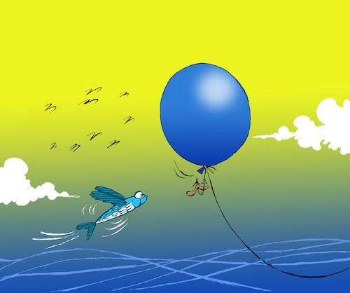 Flying Fish... By berk-olgun | Media & Culture Cartoon | TOONPOOL