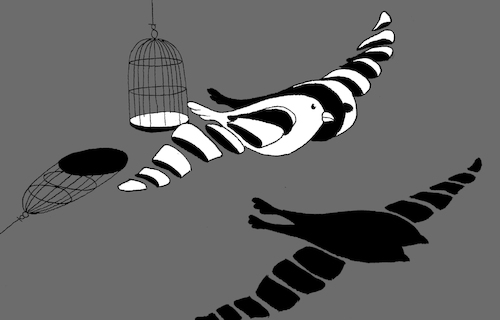 Cartoon: Freedom... (medium) by berk-olgun tagged freedom