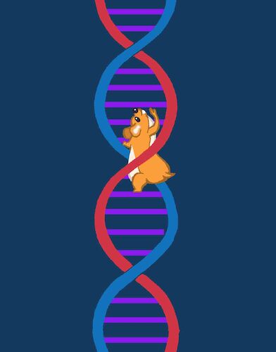 Cartoon: Genetic Disorder... (medium) by berk-olgun tagged genetic,disorder