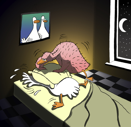 Cartoon: Goose Feather Pillow... (medium) by berk-olgun tagged goose,feather,pillow