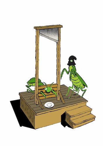 Cartoon: Guillotine... (medium) by berk-olgun tagged praying,mantis