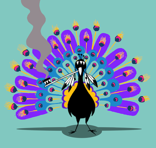 Cartoon: Indian Peacock... (medium) by berk-olgun tagged indian,peacock