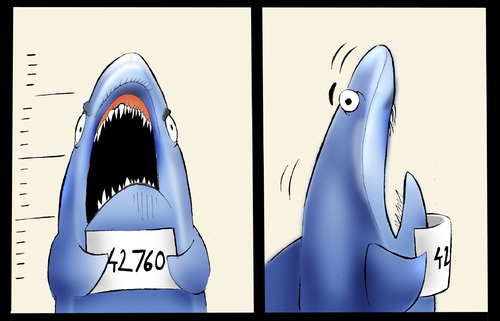 Cartoon: JAWS... (medium) by berk-olgun tagged jaws