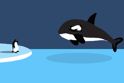 Cartoon: Killer Whale... (medium) by berk-olgun tagged killer,whale