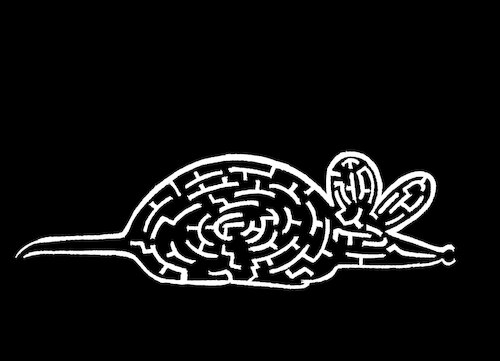 Cartoon: Labyrinth... (medium) by berk-olgun tagged labyrinth