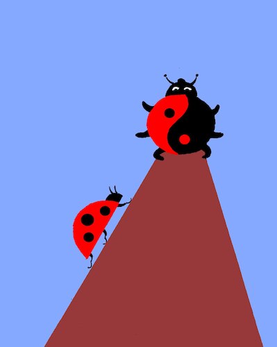 Cartoon: Ladybug... (medium) by berk-olgun tagged ladybug