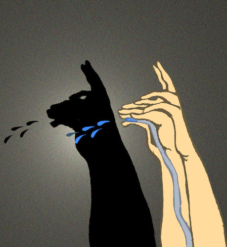 Cartoon: Llama... (medium) by berk-olgun tagged llama