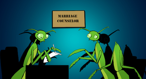 Cartoon: Marriage Counselor... (medium) by berk-olgun tagged marriage,counselor