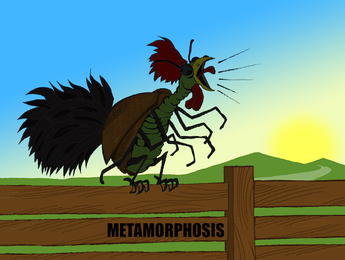 Cartoon: Metamorphosis... (medium) by berk-olgun tagged metamorphosis