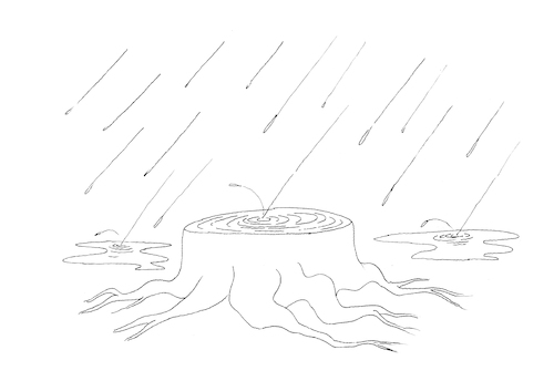 Cartoon: No Comment... (medium) by berk-olgun tagged no,comment