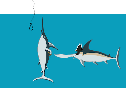 Cartoon: Pirate Swordfish... (medium) by berk-olgun tagged pirate,swordfish