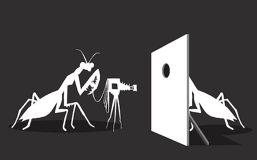 Cartoon: Praying Mantis... (medium) by berk-olgun tagged praying,mantis