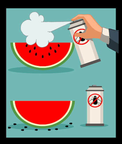 Cartoon: Seedless Watermelon... (medium) by berk-olgun tagged seedless,watermelon