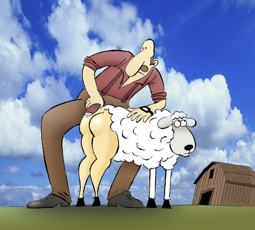 Cartoon: Sheep Shearing... (medium) by berk-olgun tagged sheep,shearing