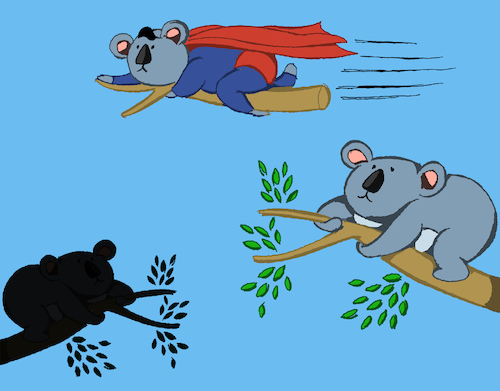 Cartoon: Superkoala... (medium) by berk-olgun tagged superkoala