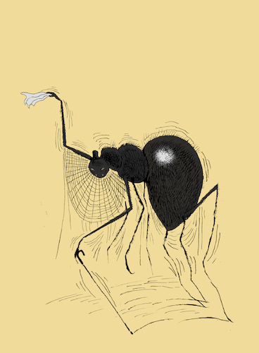 Cartoon: The Old Spider... (medium) by berk-olgun tagged the,old,spider
