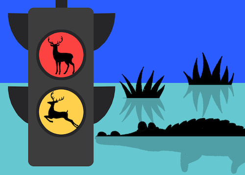Cartoon: Traffic Lights... (medium) by berk-olgun tagged traffic,lights
