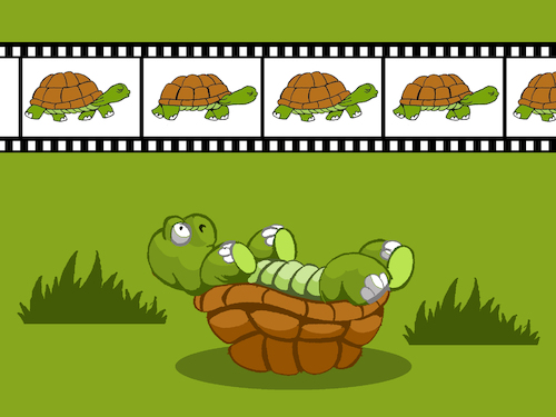 Cartoon: Turtle... (medium) by berk-olgun tagged turtle