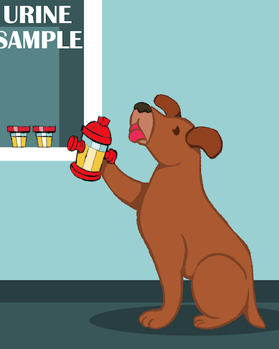 Cartoon: Urine Sample... (medium) by berk-olgun tagged urine,sample