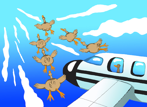 Cartoon: VIP... (medium) by berk-olgun tagged vip