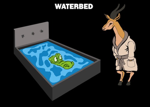 Cartoon: Water Bed... (medium) by berk-olgun tagged water,bed