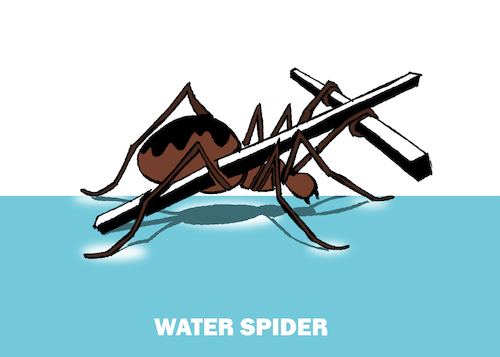 Cartoon: Water Spider... (medium) by berk-olgun tagged water,spider