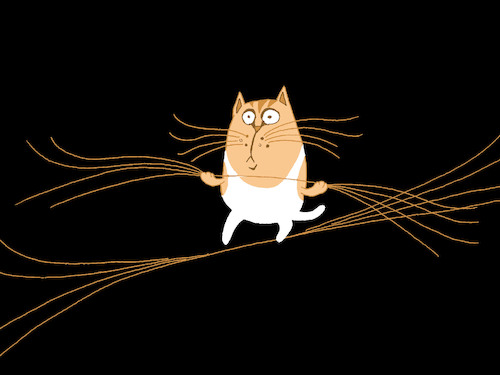 Cartoon: Whiskers... (medium) by berk-olgun tagged whiskers