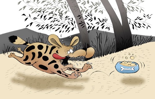 Cartoon: Wild Dog... (medium) by berk-olgun tagged wild,dog