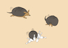 Cartoon: Armadillo... (small) by berk-olgun tagged armadillo