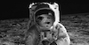 Cartoon: Astronaut... (small) by berk-olgun tagged astronaut