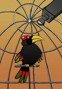 Cartoon: Bird Watcher... (small) by berk-olgun tagged bird,watcher