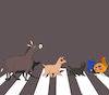 Cartoon: Bremen Musicians... (small) by berk-olgun tagged bremen,musicians