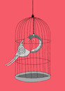 Cartoon: Budgie... (small) by berk-olgun tagged budgie