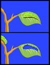 Cartoon: Caterpillar... (small) by berk-olgun tagged caterpillar