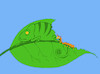 Cartoon: Caterpillar vs Chameleon... (small) by berk-olgun tagged chameleon
