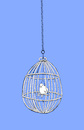 Cartoon: Chickcage... (small) by berk-olgun tagged chickcage