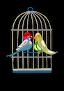 Cartoon: Clown Budgerigar ... (small) by berk-olgun tagged clown