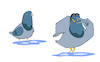 Cartoon: Courtship Dance... (small) by berk-olgun tagged courtship,dance