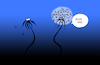 Cartoon: Dandelion... (small) by berk-olgun tagged dandelion