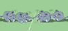 Cartoon: Elephants... (small) by berk-olgun tagged elephants